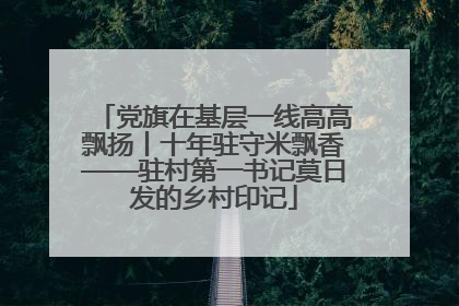 党旗在基层一线高高飘扬丨十年驻守米飘香——驻村第一书记莫日发的乡村印记