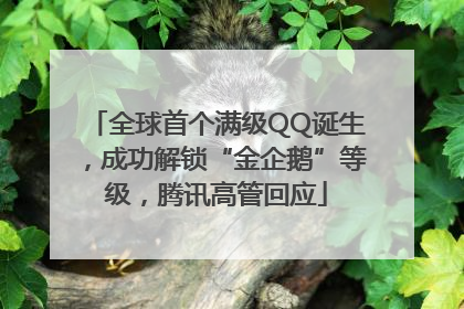 全球首个满级QQ诞生，成功解锁“金企鹅”等级，腾讯高管回应