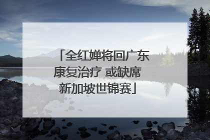 全红婵将回广东康复治疗 或缺席新加坡世锦赛