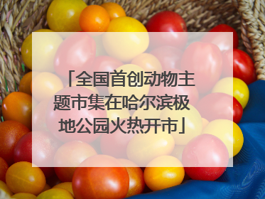 全国首创动物主题市集在哈尔滨极地公园火热开市
