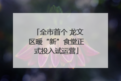 全市首个 龙文区暖“新”食堂正式投入试运营