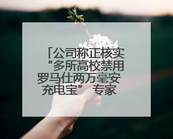 公司称正核实“多所高校禁用罗马仕两万毫安充电宝” 专家：预防手机没电选中等体积产品即可