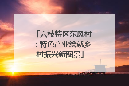 六枝特区东风村：特色产业绘就乡村振兴新图景