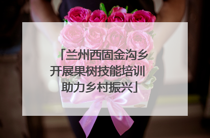 兰州西固金沟乡开展果树技能培训 助力乡村振兴