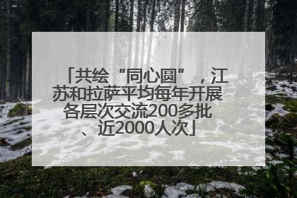 共绘“同心圆”，江苏和拉萨平均每年开展各层次交流200多批、近2000人次