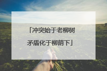 冲突始于老柳树 矛盾化于柳荫下