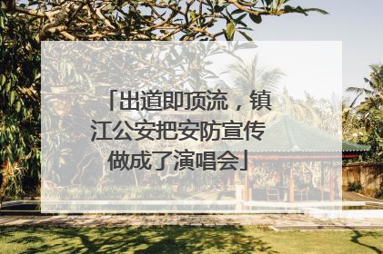出道即顶流，镇江公安把安防宣传做成了演唱会