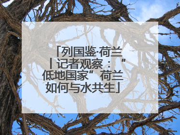 列国鉴·荷兰丨记者观察：“低地国家”荷兰如何与水共生