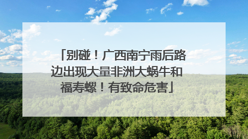 别碰！广西南宁雨后路边出现大量非洲大蜗牛和福寿螺！有致命危害
