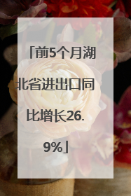 前5个月湖北省进出口同比增长26.9%