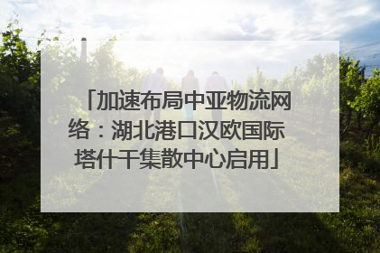 加速布局中亚物流网络：湖北港口汉欧国际塔什干集散中心启用