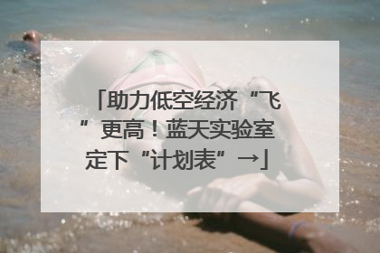 助力低空经济“飞”更高！蓝天实验室定下“计划表”→