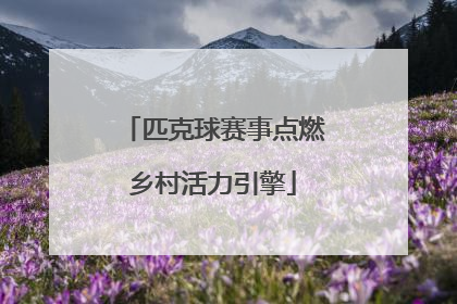 匹克球赛事点燃乡村活力引擎