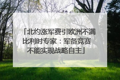 北约涨军费引欧洲不满 比利时专家：军备竞赛不能实现战略自主