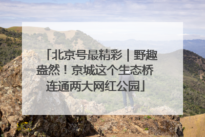 北京号最精彩｜野趣盎然！京城这个生态桥连通两大网红公园