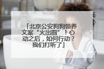 北京公安狗狗领养文案“火出圈”！心动之后，如何行动？我们打听了