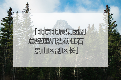北京北辰集团副总经理胡浩获任石景山区副区长