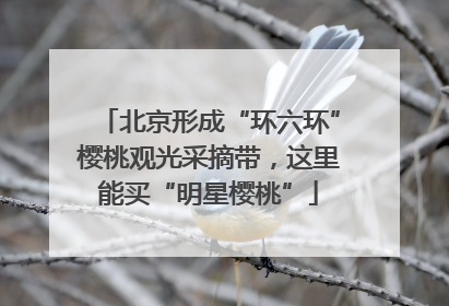 北京形成“环六环”樱桃观光采摘带，这里能买“明星樱桃”
