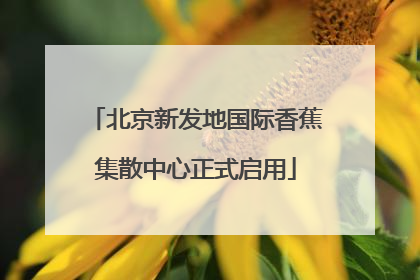 北京新发地国际香蕉集散中心正式启用