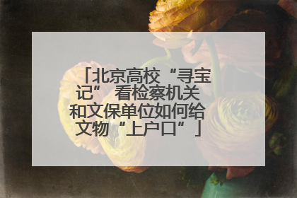 北京高校“寻宝记” 看检察机关和文保单位如何给文物“上户口”
