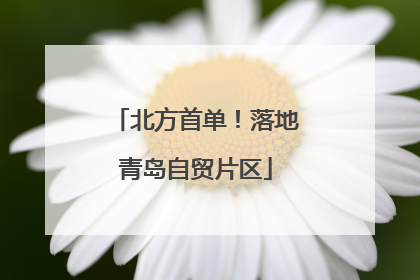 北方首单！落地青岛自贸片区