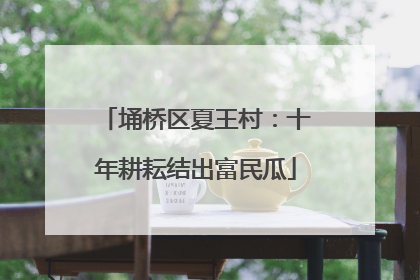 埇桥区夏王村：十年耕耘结出富民瓜