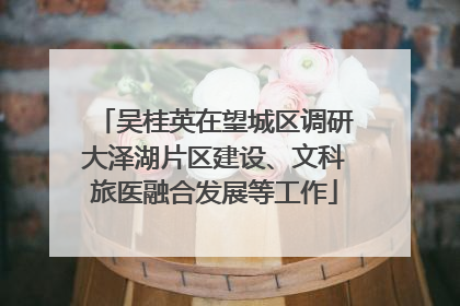 吴桂英在望城区调研大泽湖片区建设、文科旅医融合发展等工作