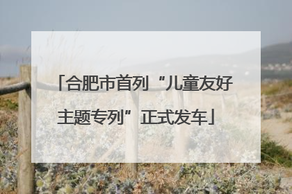 合肥市首列“儿童友好主题专列”正式发车