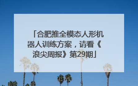 合肥推全模态人形机器人训练方案，请看《浪尖周报》第29期
