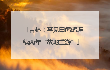 吉林：罕见白鸬鹚连续两年“故地重游”