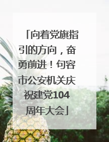 向着党旗指引的方向，奋勇前进！句容市公安机关庆祝建党104周年大会