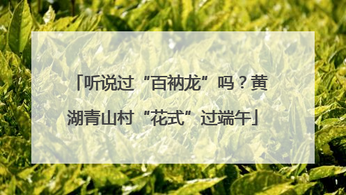 听说过“百衲龙”吗？黄湖青山村“花式”过端午