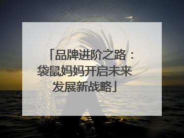 品牌进阶之路：袋鼠妈妈开启未来发展新战略