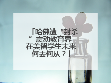 哈佛遭“封杀”震动教育界 在美留学生未来何去何从？