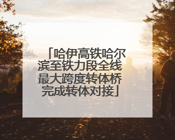 哈伊高铁哈尔滨至铁力段全线最大跨度转体桥完成转体对接