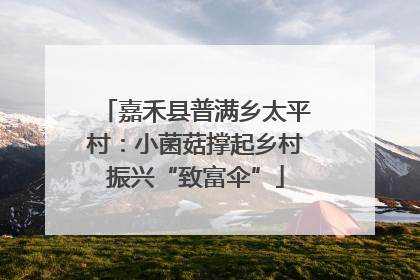 嘉禾县普满乡太平村：小菌菇撑起乡村振兴“致富伞”