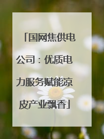 国网焦供电公司：优质电力服务赋能凉皮产业飘香