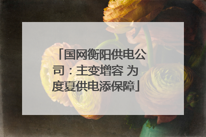 国网衡阳供电公司：主变增容 为度夏供电添保障