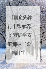 国企先锋行丨张家界：守护平安的那抹“金盾红”