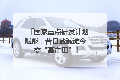国家重点研发计划赋能，昔日盐碱滩今变“高产田”