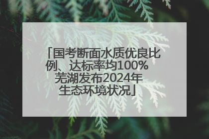 国考断面水质优良比例、达标率均100% 芜湖发布2024年生态环境状况