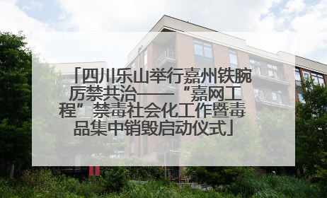 四川乐山举行嘉州铁腕 厉禁共治——“嘉网工程”禁毒社会化工作暨毒品集中销毁启动仪式