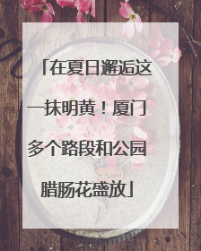 在夏日邂逅这一抹明黄！厦门多个路段和公园腊肠花盛放