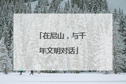 在尼山，与千年文明对话