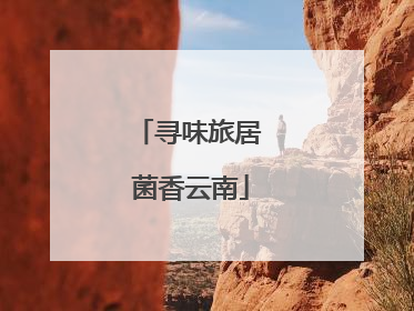 寻味旅居 菌香云南