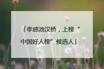 孝感池汉桥，上榜“中国好人榜”候选人