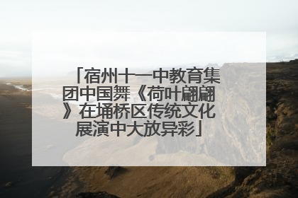 宿州十一中教育集团中国舞《荷叶翩翩》在埇桥区传统文化展演中大放异彩