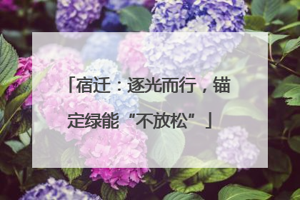 宿迁：逐光而行，锚定绿能“不放松”