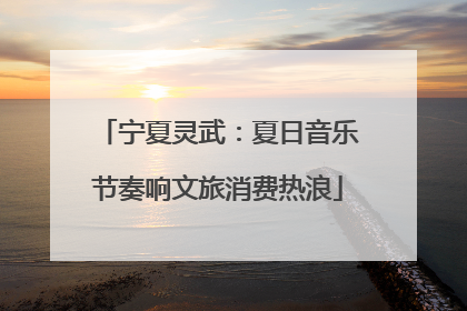 宁夏灵武：夏日音乐节奏响文旅消费热浪