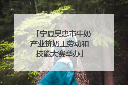 宁夏吴忠市牛奶产业挤奶工劳动和技能大赛举办